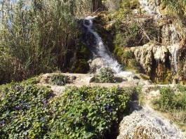 Santa Lucía Santa Lucía