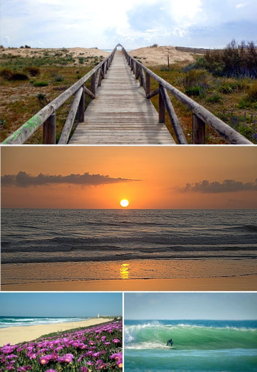 Playa de El Palmar