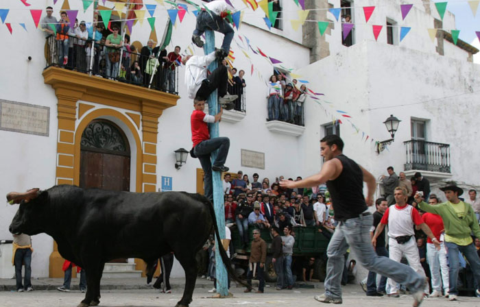 Suelta del Toro