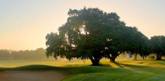 Dehesa Montenmedio Dehesa Montenmedio